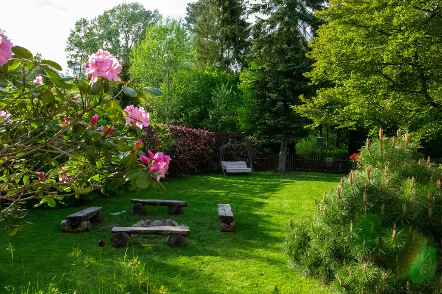 Zdjęcie przedstawia park z ławkami i krzesłami ustawionymi na trawniku. W tle widoczne są drzewa i krzewy.