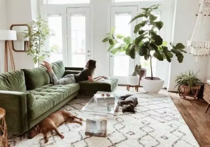 Na podłodze z paneli leży biały dywan, na którym leżą dwa psy. Na zielonej kanapie narożnej  leży kobieta przeglądająca gazetę. Przez okna wpada dużo światła dziennego. 