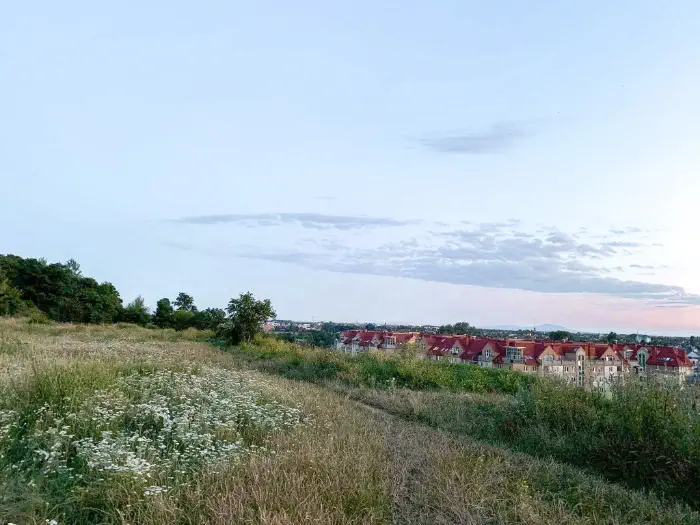Widok zazielenionego Wzgórza Gajowego na osiedlu Gaj we Wrocławiu. 