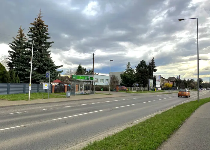 Przystanek autobusowy przy drodze asfaltowej na osiedlu Wojszyce we Wrocławiu. Przy drodze drzewa iglaste, trawniki i chodnik
