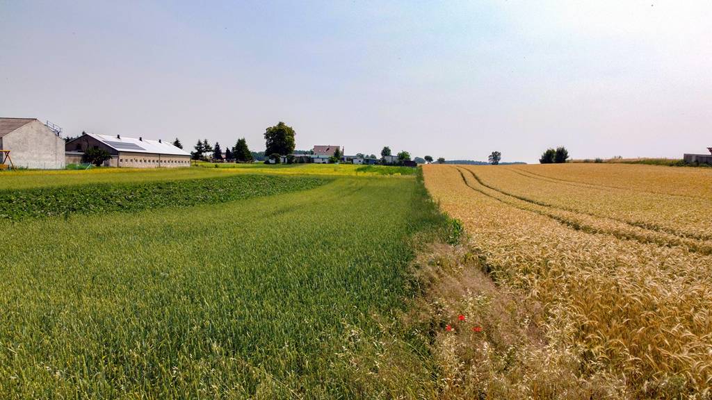 Działka rolna w Ostródzie i okolicach – teren pod zakup i inwestycję
